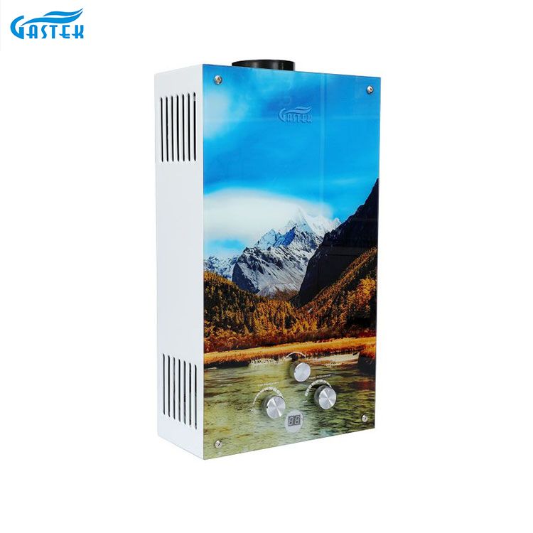 Tanksız Baca Tipi Cam Panel Gazlı Su Isıtıcısı Mutfak için Toptan Gaz Gayser